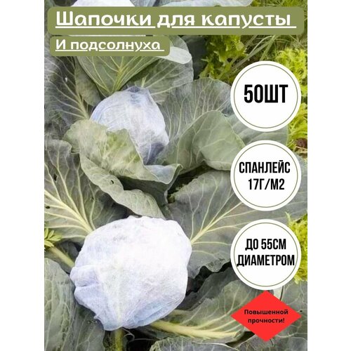 ���������� ������� ��� ������� � ���������� 50�� �� ���� � ������� 17�/�