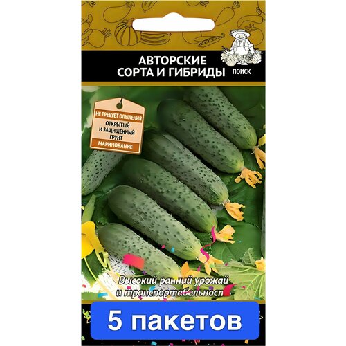 ���������� ������ ������ ����� 