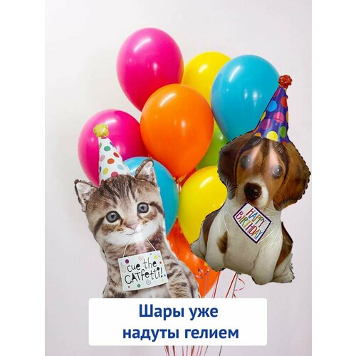 ���������� ������ ��������� ����� � ������, ��������� ���� �� ���� �������� ������� � ������� � ��������