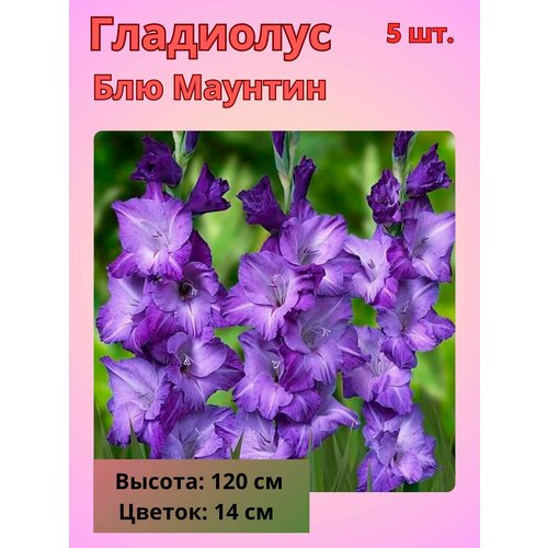 ���������� ��������� ��������������� ��� �������, �������� ����������