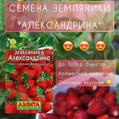 ���������� ������ ������ ��������� 