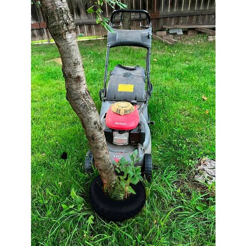 ���������� ������ ������� �������� 