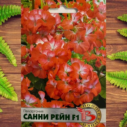 ���������� ������ ������ ��� ���� � ���� ���������� ����� ���� F1