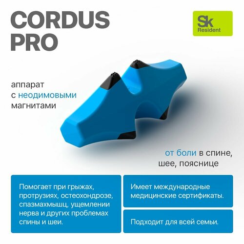 Cordus Pro ( ) -      .   , -, 