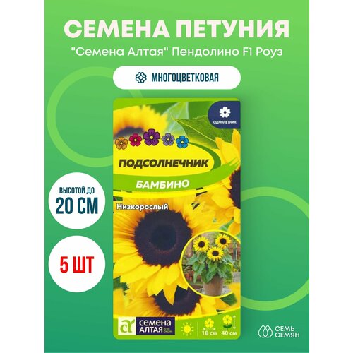 ���������� ������ ������� �������������� 