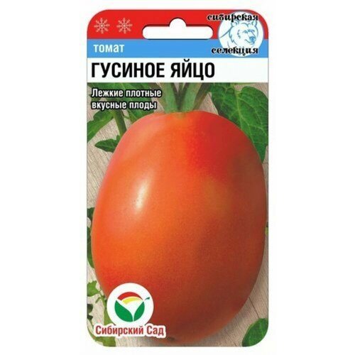 ���������� ������ ����� ������� ���� 20�� ����� (��������� ���)