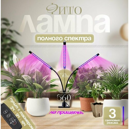 ���������� ��������� ��� �������� ������� �������, 3 �����, �������������� ��� �������, ����� ��� �������� �� ��������