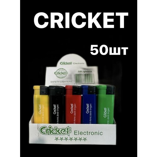  Cricket  /50   , -, 