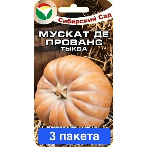 ���������� ������ ������ ��������� ��� 