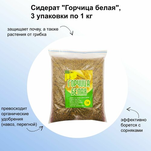 ���������� ����� ������� 