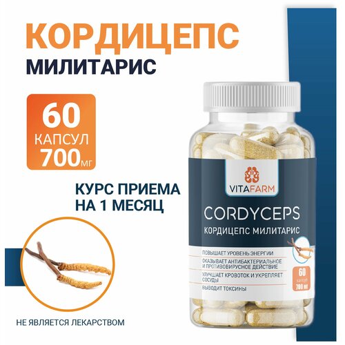   (Cordyceps militaris)  60 / 700    , -, 