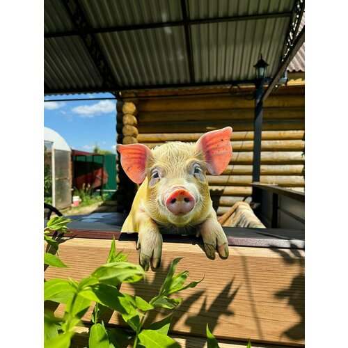 ���������� ����� �� ������� ��� ����, ���� 