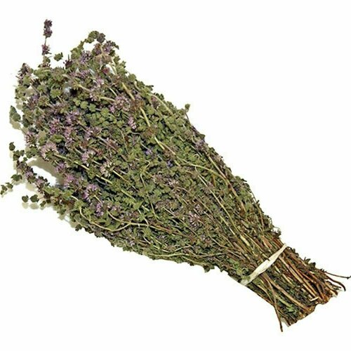 ���������� ����� ��� ���� ���� ��������