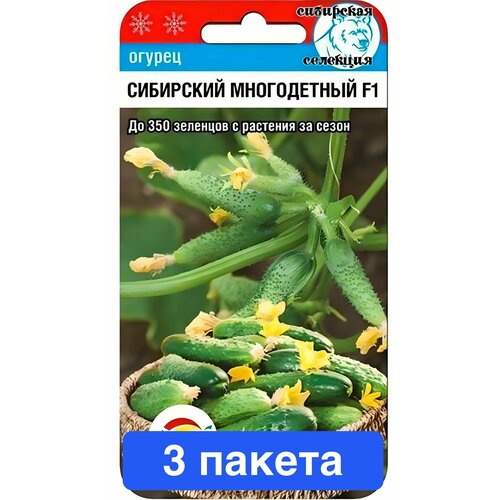 ���������� ������ ������ ��������� ��� 