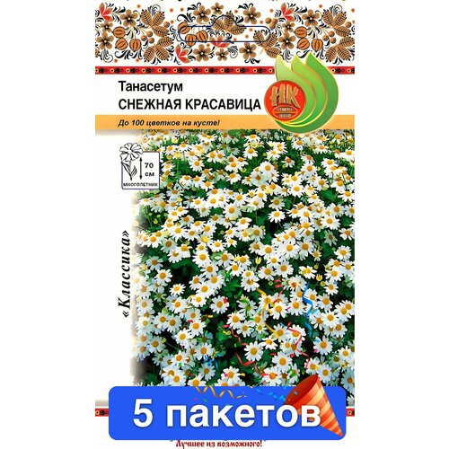 ���������� ����� ��������� ������� ��������� 5 �������