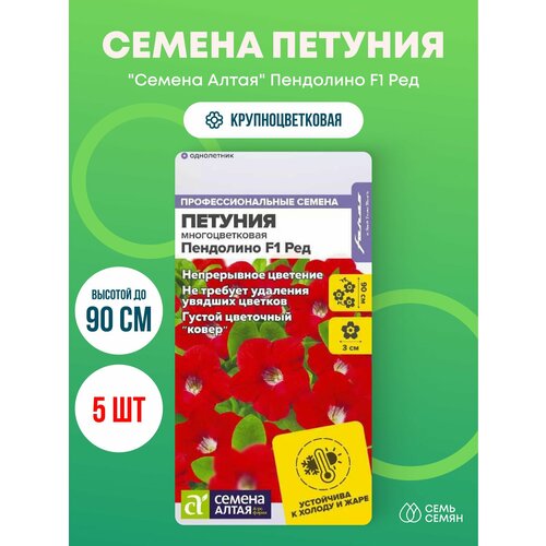 ���������� ������ ������� �������������� 