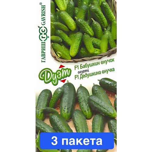 ���������� ������ ������ ������ 