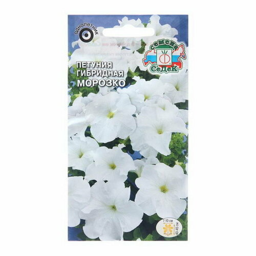 ���������� ������ ������ �������