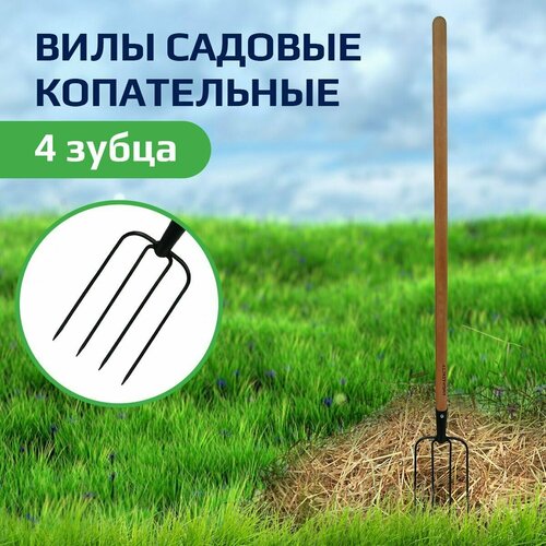 ���������� ���� �����-�������� 4 ���� ��������� �����, ����� ����� 30��, ���������� ���� ������� ��� ���� � ��������