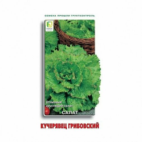 ���������� ������ ����� ��������� ���������� ������������ 1� (�����)