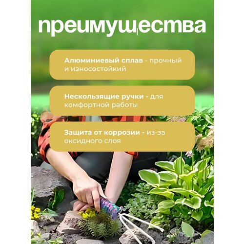 ���������� ����� ������� ������������ 10 � 1 ��� �������� � ������� �������� � ��������� �����