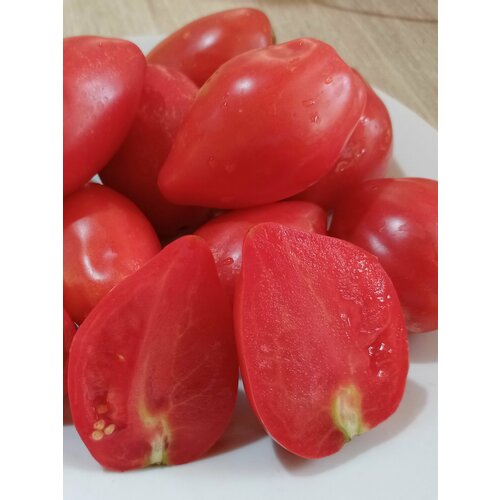 ���������� ����� ���� 
