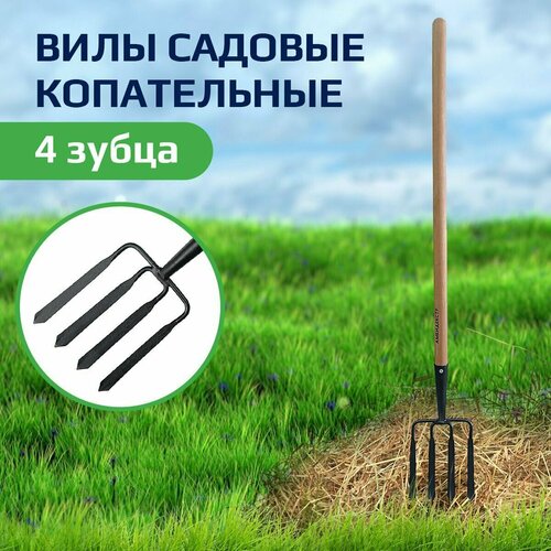 ���������� ���� ����������� ������� 4 ���� ����������, ����� ����� 23��, � �������� ��� �������� � ����������� �����