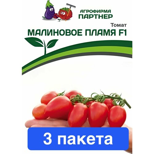 ���������� ������ ������ ��������� ������� 