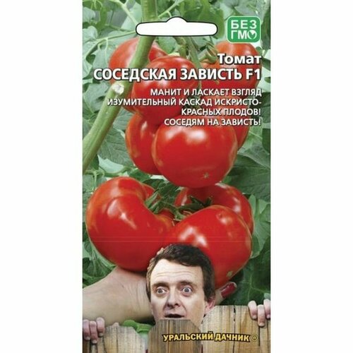 ���������� ������ ����� ��������� ������� F1, ������������, 12��