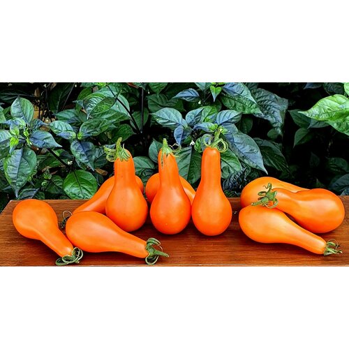 ���������� ������ ����� ���� (Mila) / Seeds And Goods / � �������� zip-lock ��� ���������� 10 �����