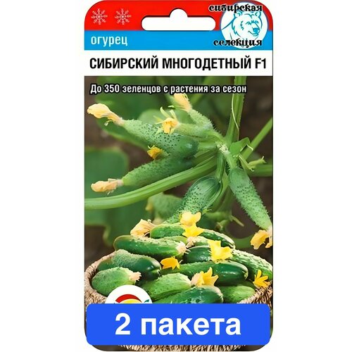 ���������� ������ ������ ��������� ��� 