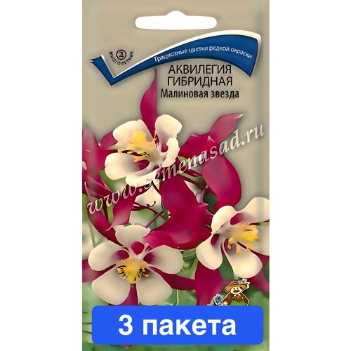 ���������� ������ ������ ����� 