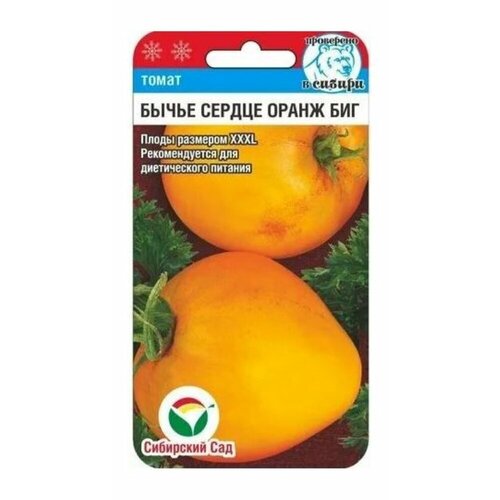 ���������� ������ ����� ����� ������ ����� ��� 20�� (��������� ���)