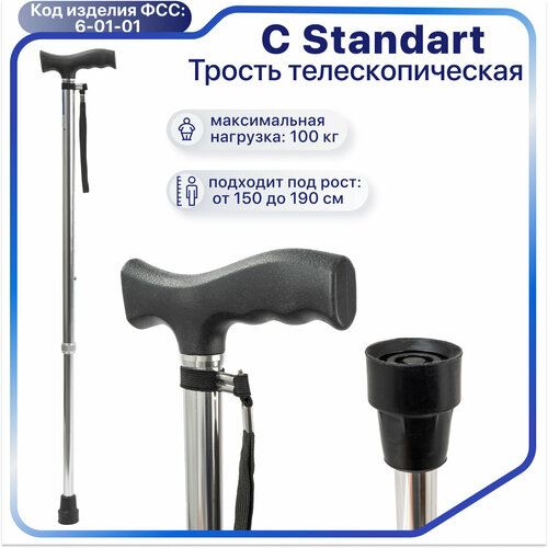 ���������� ������ C Standart ����