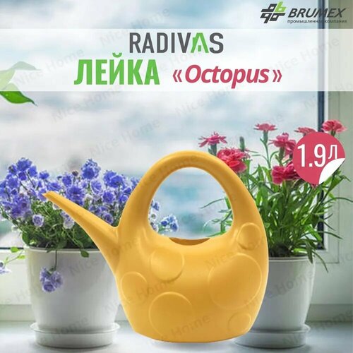  Radivas     Octopus  H1-01-37,   