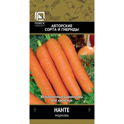 ���������� ������ ������� ����� 2� (�����) �����