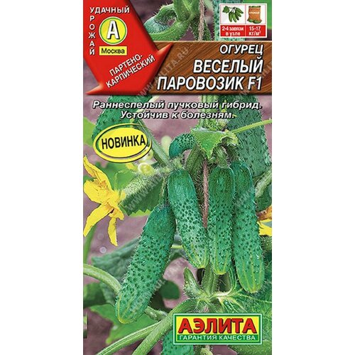 ���������� ������ ������� ��������� F1