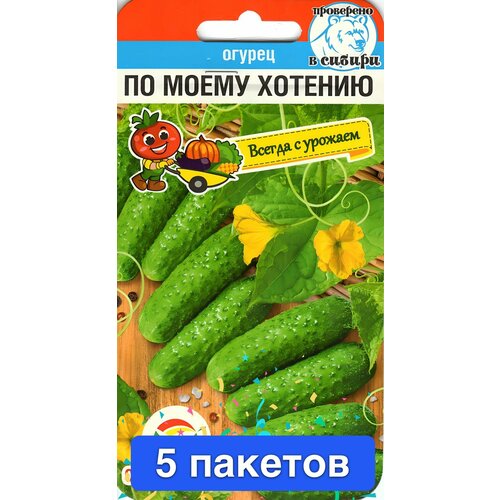 ���������� ������ ������ ��������� ��� 