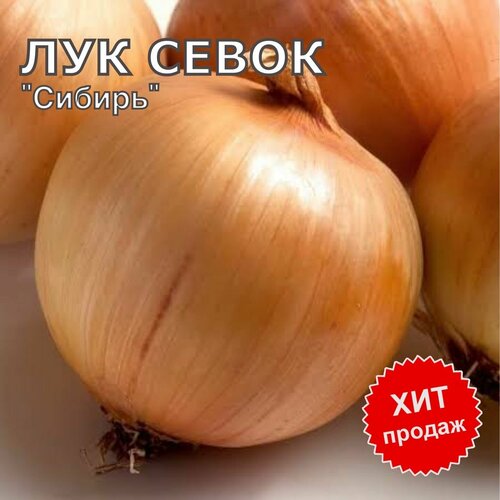 ���������� ��� ����� ������ �� ������� 