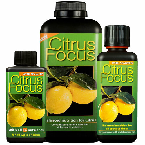      Growth Technology Citrus Focus   , -, 