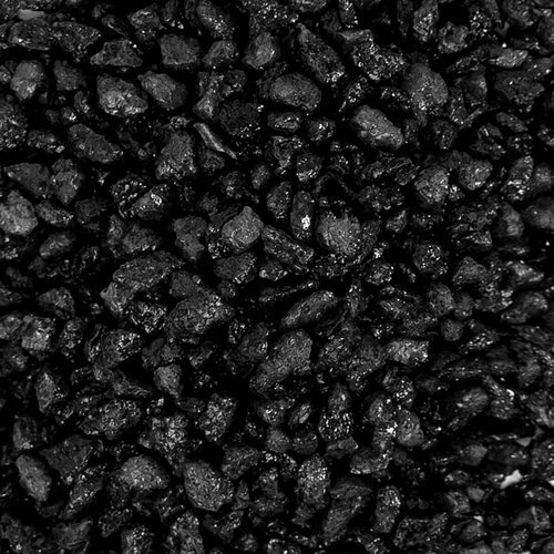 ���������� ����������� ����� ��� ��������, ����������� � ��������, Zoo One, ��������� ��������, 