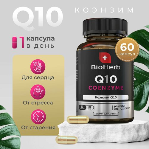 BioHerb   Q10,     , 60    , -, 