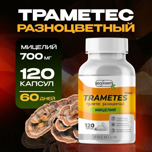 ���������� �������� ������������ ������� 700��, �������� ����