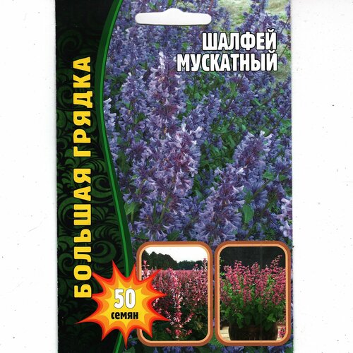 ���������� ������ ���������, ����������� ( 1 ��: 50 ����� )