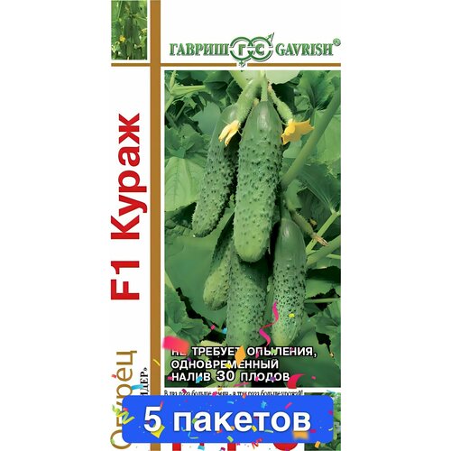 ���������� ������ ������ ������ 