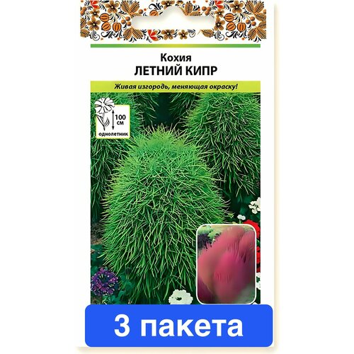 ���������� ����� ����� ������ ���� 3 ������