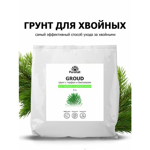 ���������� ����� (�����) ��� ������� �������� � �������� ������. ���������� � ������ � ���������� (Purshat) 3 �