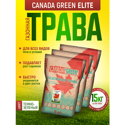       15 /  15/ Canada Green Elite 15/   , ,    , -, 