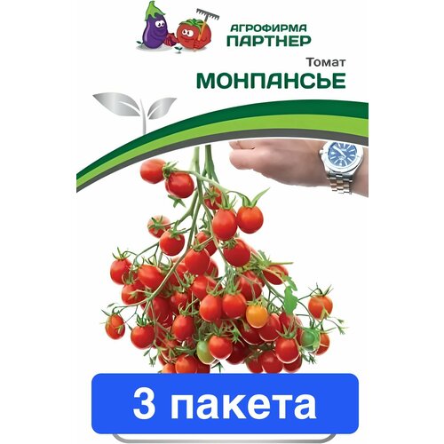 ���������� ������ ������ ��������� ������� 