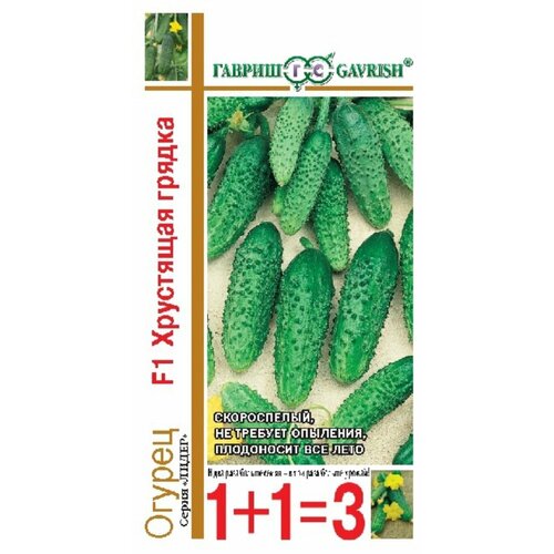 ���������� ������ ������ ��������� ������ F1 20�� ������������������ ������ (������) 1+1